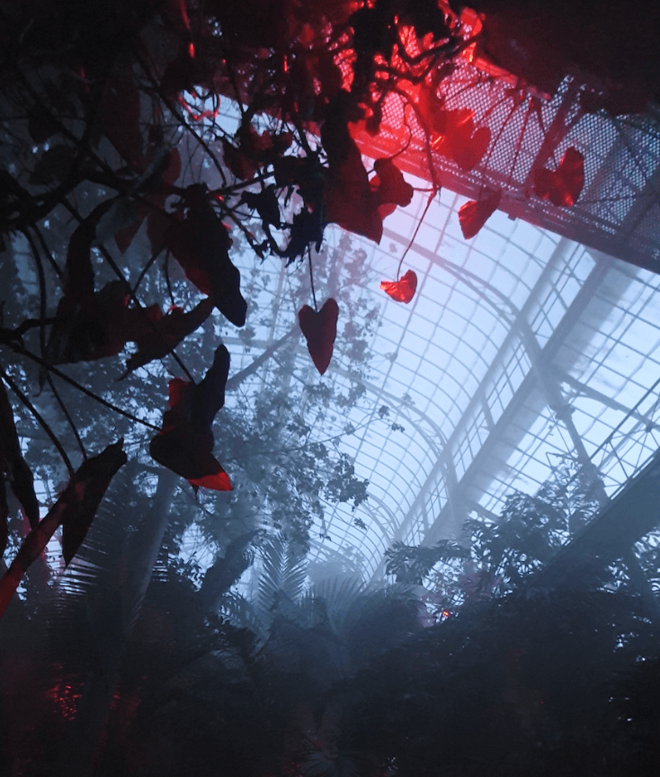 Garden of Shadows — magical fog view