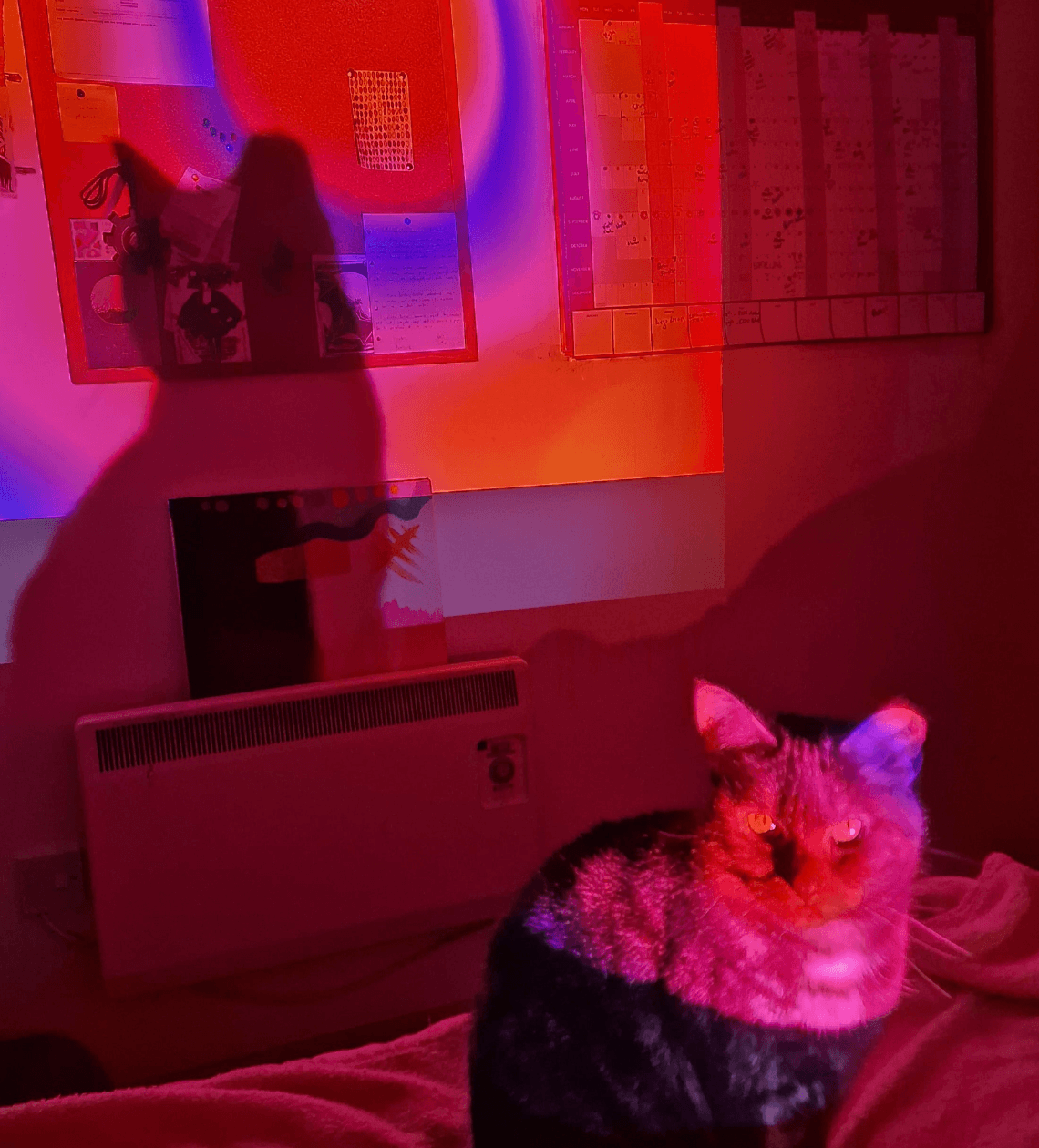 Home Project  — Moka