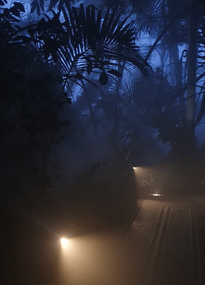Garden of Shadows  — path