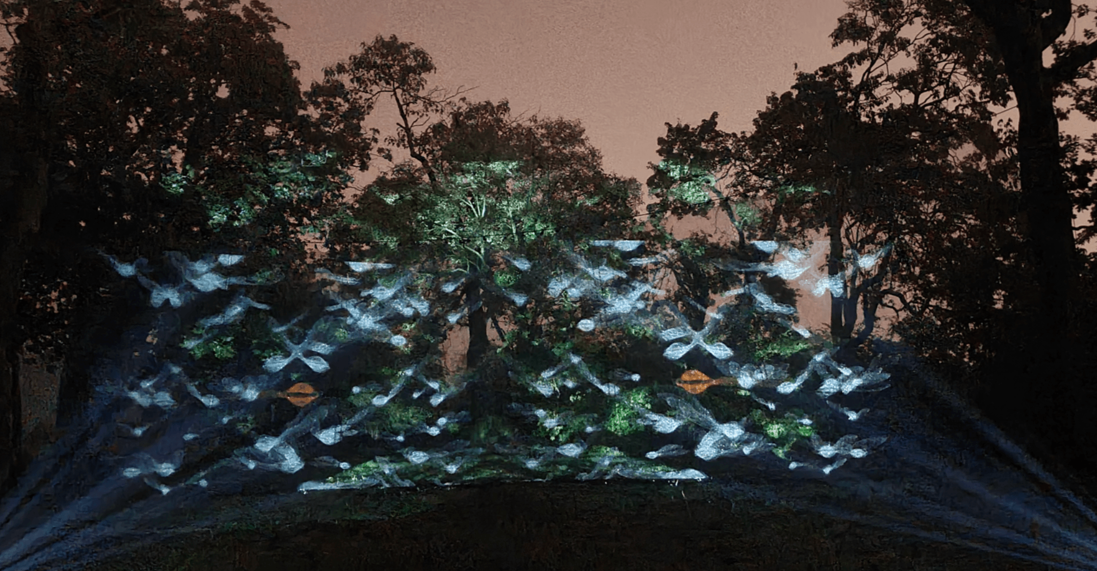 Garden of Shadows  — outside projection