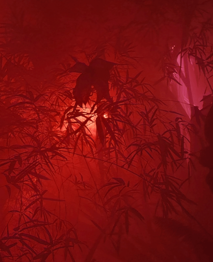 Garden of Shadows  — redfog